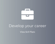 Developer Your Career at HIVE-X