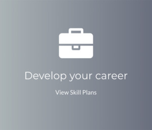 Developer Your Career at HIVE-X